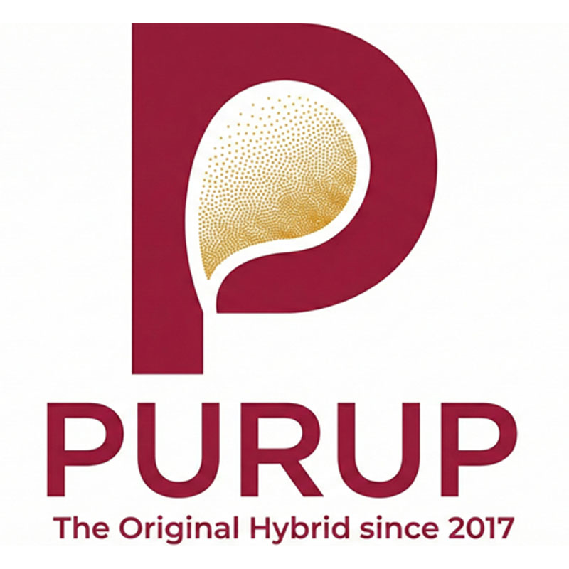 ǻ�� �귣�� ����